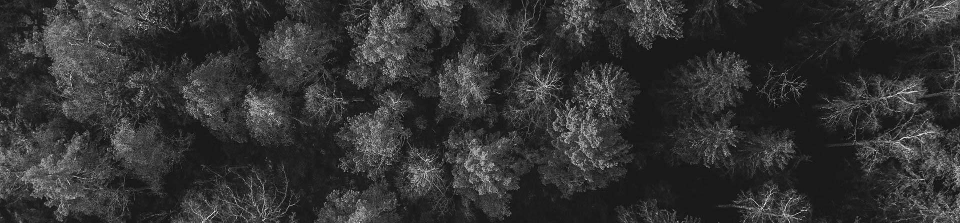 INWILD our impact on the environment