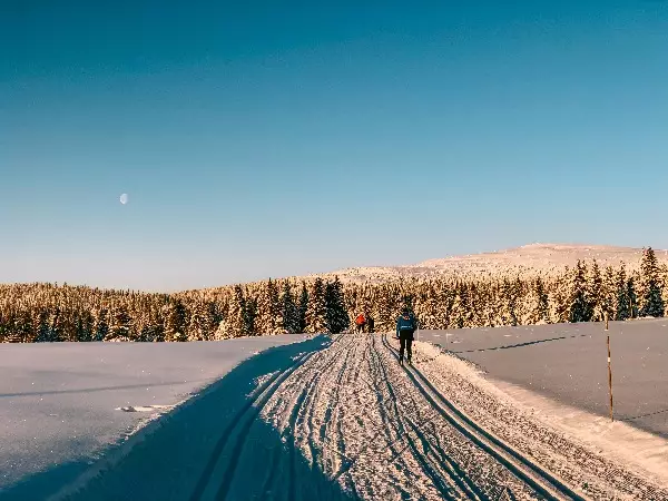 Crosscountry skiing.jpg