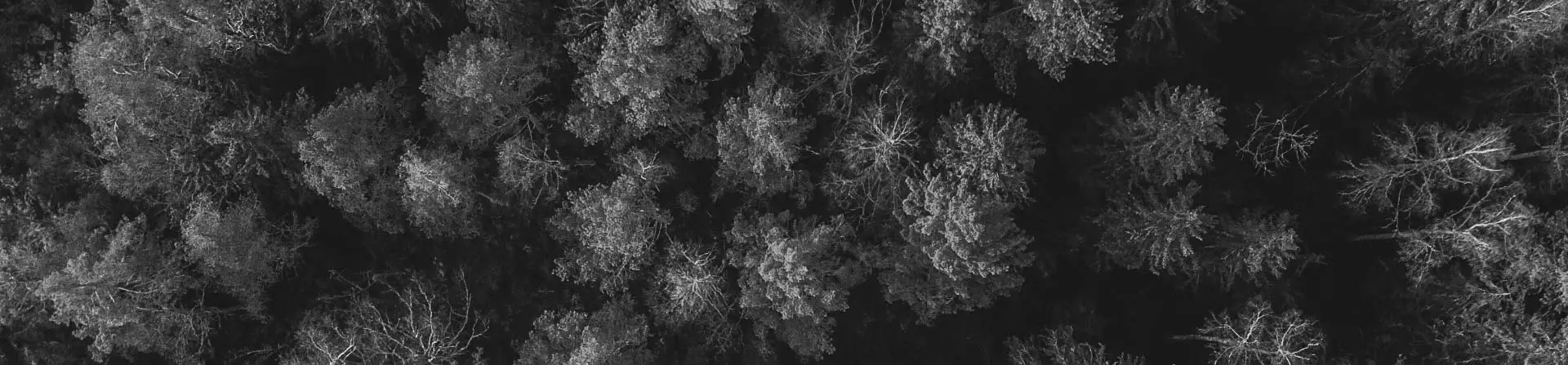 INWILD notre impact sur l'environnement