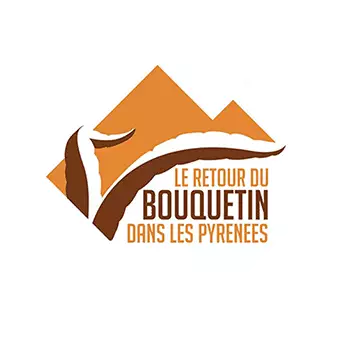 Pour le retour des bouquetins dans le massif des Pyr&eacute;n&eacute;es 